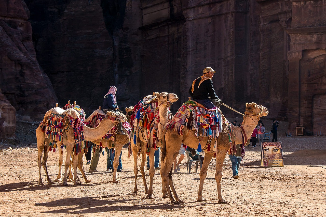 استفتاح أولى جولات سباق الخيول بعجمان